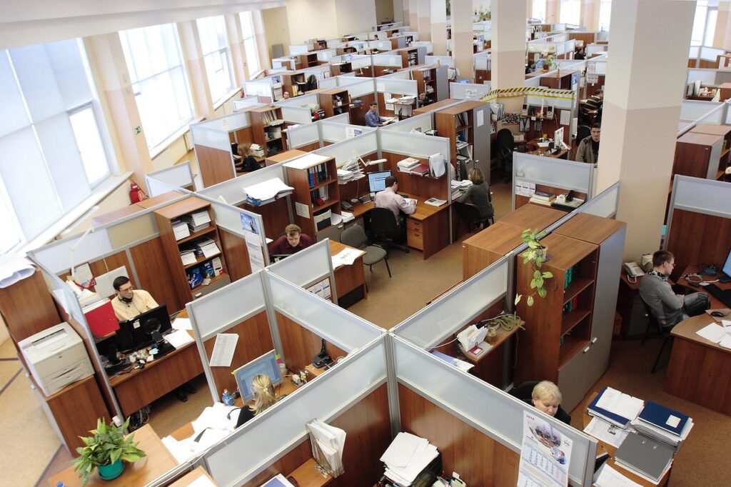 office, cubicles, employees-95311.jpg